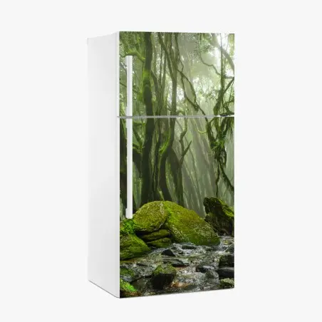 Pegatina para frigorífico bosque húmedo con arroyo entre rocas – Pixers®