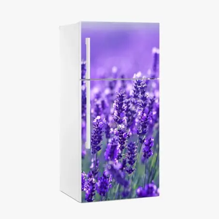 Pegatina para frigorífico campo de lavanda en primer plano – Pixers®