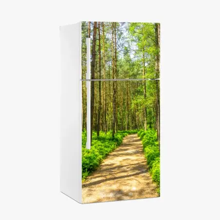 Pegatina para frigorífico sendero sereno entre pinos – Pixers®