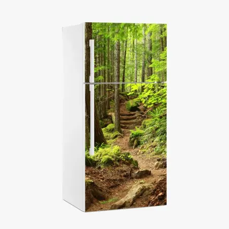 Pegatina para frigorífico sendero en bosque esmeralda – Pixers®