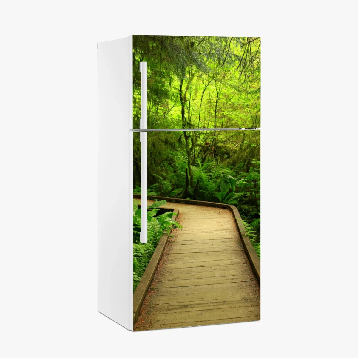 Pegatina para frigorífico sendero verde en bosque encantado – Pixers® Pegatina para frigorífico sendero verde en bosque encantado – Pixers®