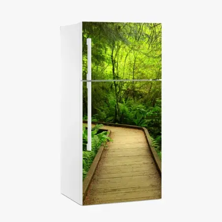 Pegatina para frigorífico sendero verde en bosque encantado – Pixers®