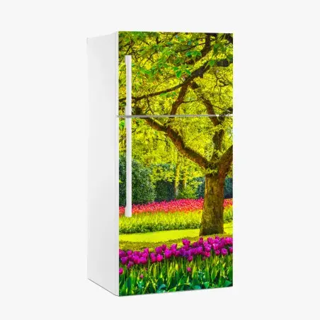 Pegatina para frigorífico jardín de tulipanes en Keukenhof – Pixers®