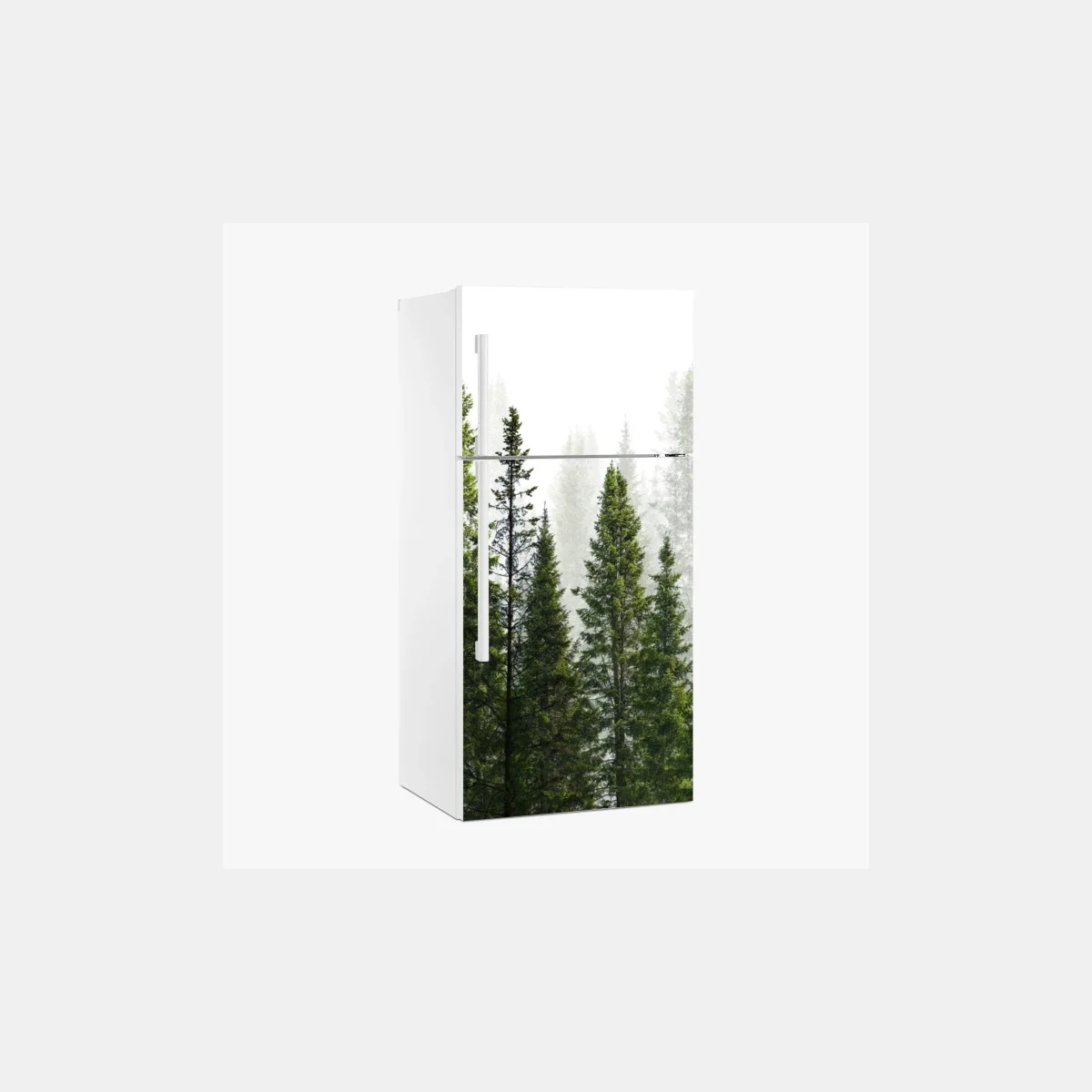 Pegatina para frigorífico bosque de abetos en niebla – Pixers® Pegatina para frigorífico bosque de abetos en niebla – Pixers®