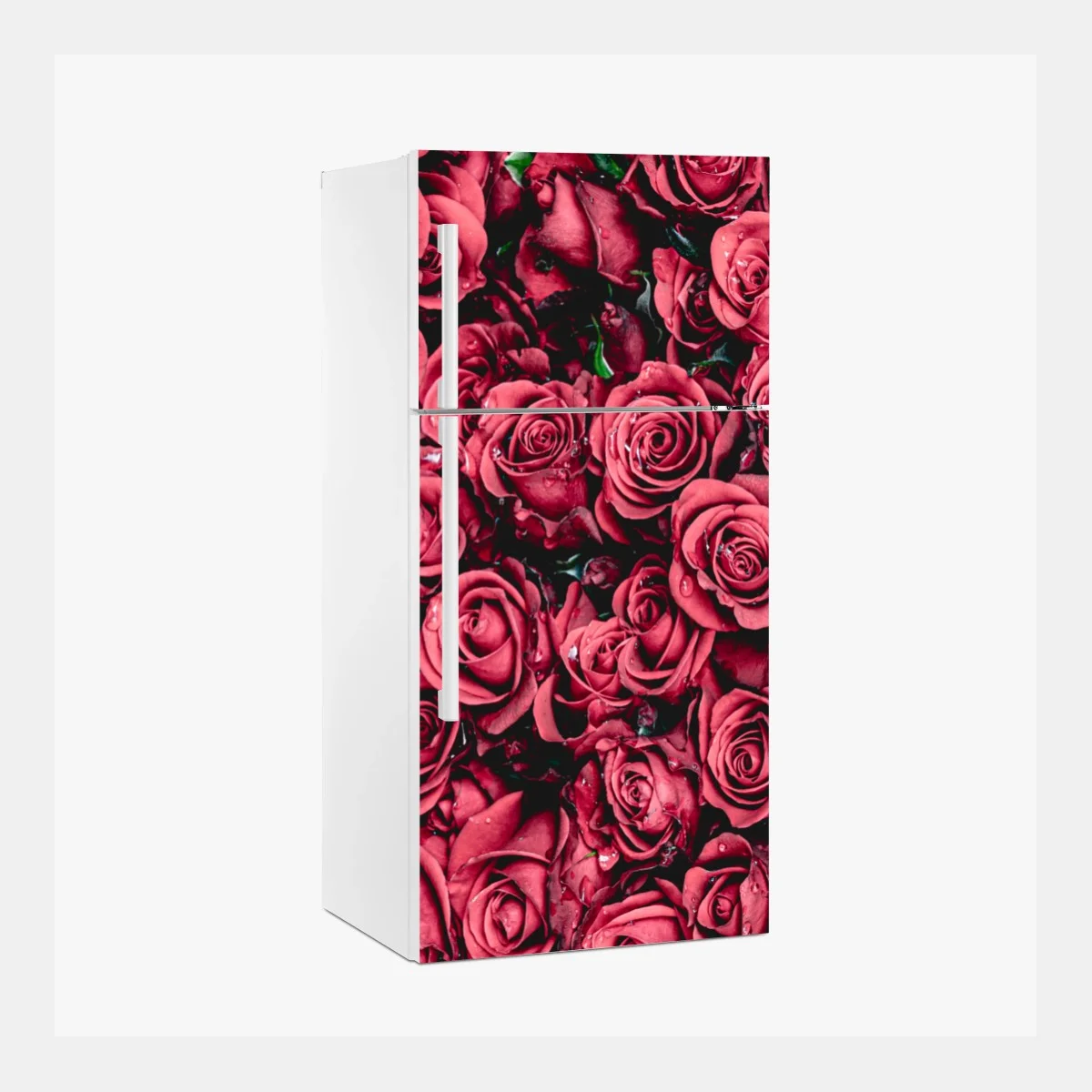 Pegatina para frigorífico diseño de rosas rojas en detalle – Pixers® Pegatina para frigorífico diseño de rosas rojas en detalle – Pixers®