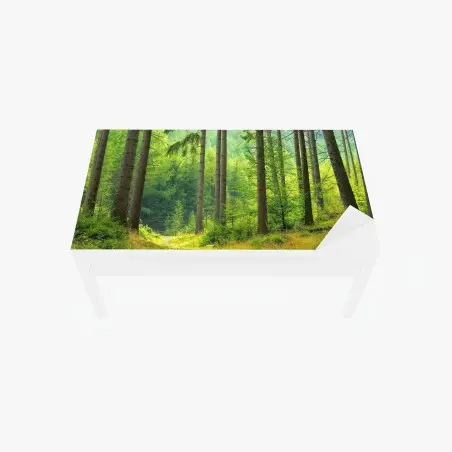 Chapa adhesiva para mesa y escritorio sendero sereno en bosque de pinos – Pixers®
