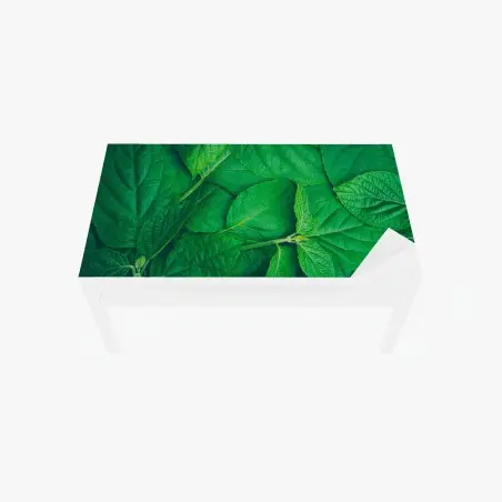 Chapa adhesiva para mesa y escritorio textura de hojas verdes – Pixers®
