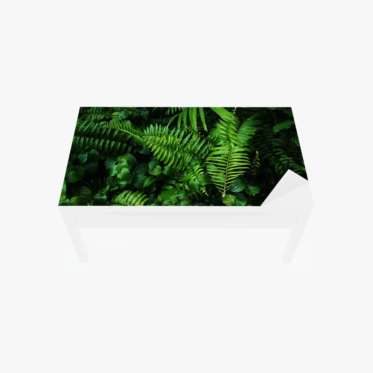 Chapa adhesiva para mesa y escritorio mural de hojas tropicales y helechos – Pixers® Chapa adhesiva para mesa y escritorio mural de hojas tropicales y helechos – Pixers®