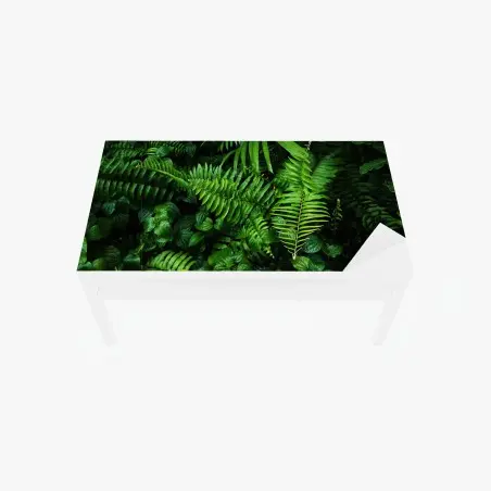 Chapa adhesiva para mesa y escritorio mural de hojas tropicales y helechos – Pixers®