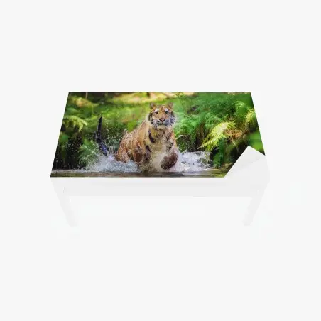 Chapa adhesiva para mesa y escritorio tigre en movimiento entre agua y bosque – Pixers®