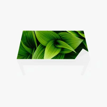 Chapa adhesiva para mesa y escritorio follaje verde en capas – Pixers®