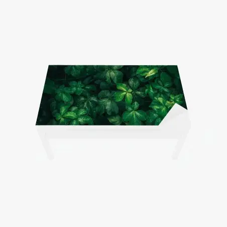 Chapa adhesiva para mesa y escritorio follaje verde profundo con gotas de lluvia – Pixers®
