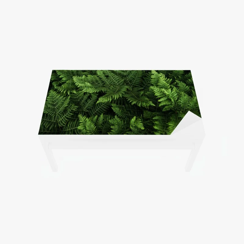 Chapa adhesiva para mesa y escritorio manto de helechos verdes