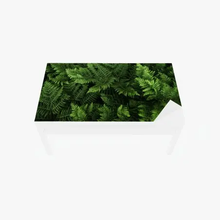 Chapa adhesiva para mesa y escritorio manto de helechos verdes – Pixers®