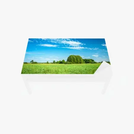 Chapa adhesiva para mesa y escritorio pradera bajo cielo azul – Pixers®