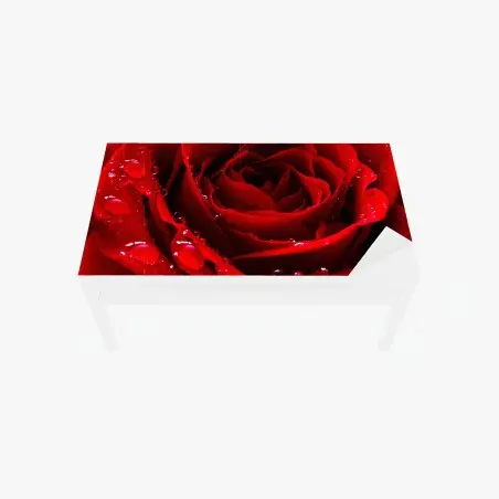 Chapa adhesiva para mesa y escritorio rosa roja en primer plano con gotas de rocío – Pixers®