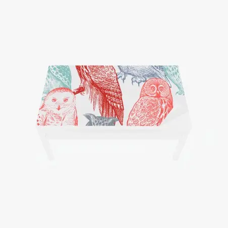 Chapa adhesiva para mesa y escritorio búhos ilustrados en estilo grabado multicolor – Pixers®