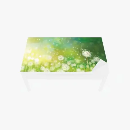 Chapa adhesiva para mesa y escritorio sueño de primavera con dientes de león – Pixers®