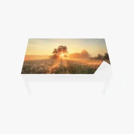 Chapa adhesiva para mesa y escritorio amanecer dorado en la pradera – Pixers®