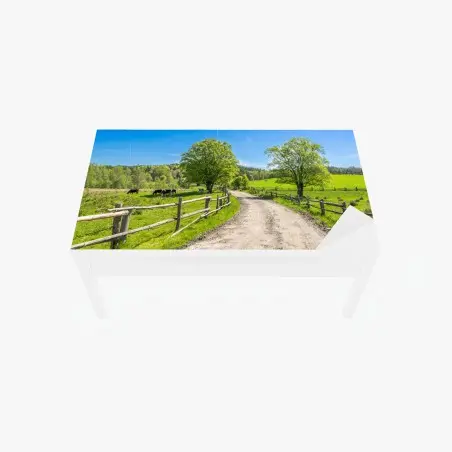 Chapa adhesiva para mesa y escritorio camino rural entre praderas verdes y vallas de madera – Pixers®