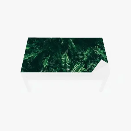 Chapa adhesiva para mesa y escritorio jardín vertical de hojas tropicales en tono oscuro – Pixers®