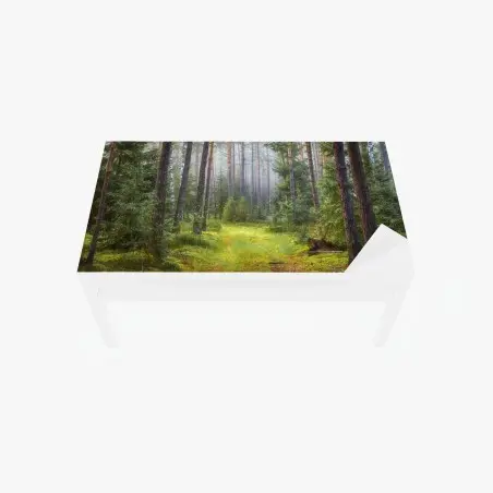 Chapa adhesiva para mesa y escritorio sendero en bosque de pinos y musgo – Pixers®