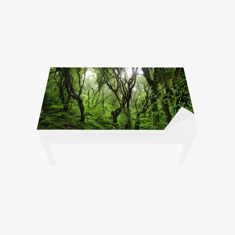 Chapa adhesiva para mesa y escritorio bosque místico de musgo y niebla