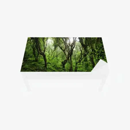 Chapa adhesiva para mesa y escritorio bosque místico de musgo y niebla – Pixers®