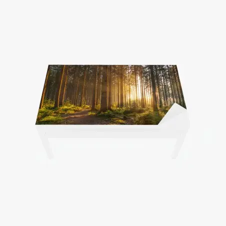 Chapa adhesiva para mesa y escritorio amanecer dorado en el bosque – Pixers®