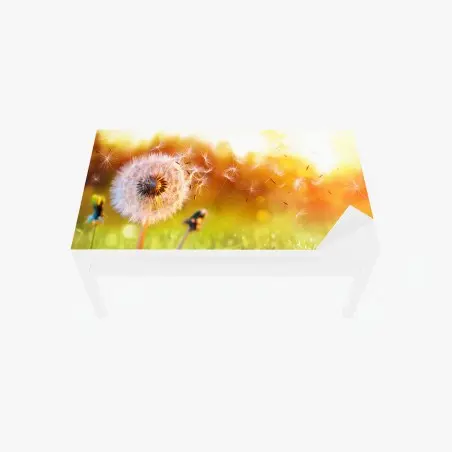 Chapa adhesiva para mesa y escritorio atardecer de diente de león en vuelo – Pixers®
