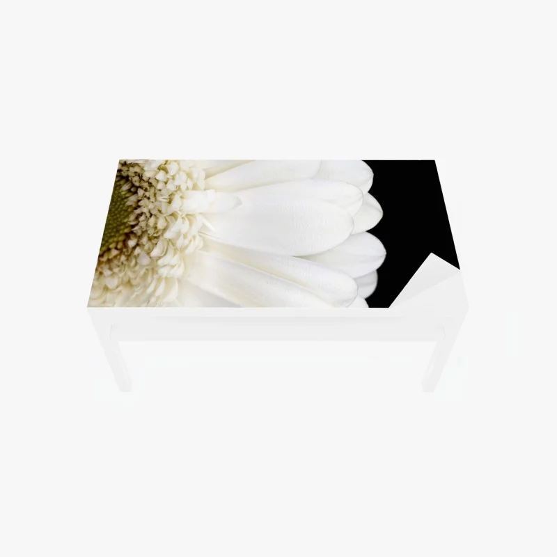 Chapa adhesiva para mesa y escritorio gerbera blanca en fondo negro minimalista