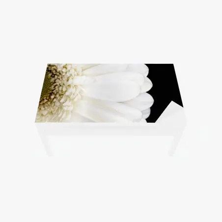 Chapa adhesiva para mesa y escritorio gerbera blanca en fondo negro minimalista – Pixers®