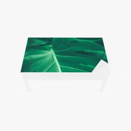 Chapa adhesiva para mesa y escritorio hoja de monstera en primer plano sobre fondo verde – Pixers®