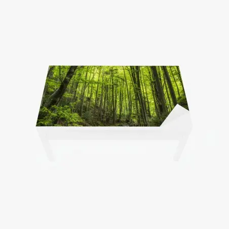 Chapa adhesiva para mesa y escritorio bosque esmeralda con arroyo – Pixers®