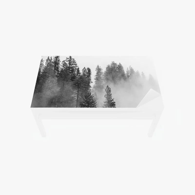 Chapa adhesiva para mesa y escritorio niebla entre secuoyas en Giant Forest, Sierra Nevada