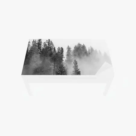 Chapa adhesiva para mesa y escritorio niebla entre secuoyas en Giant Forest, Sierra Nevada – Pixers®