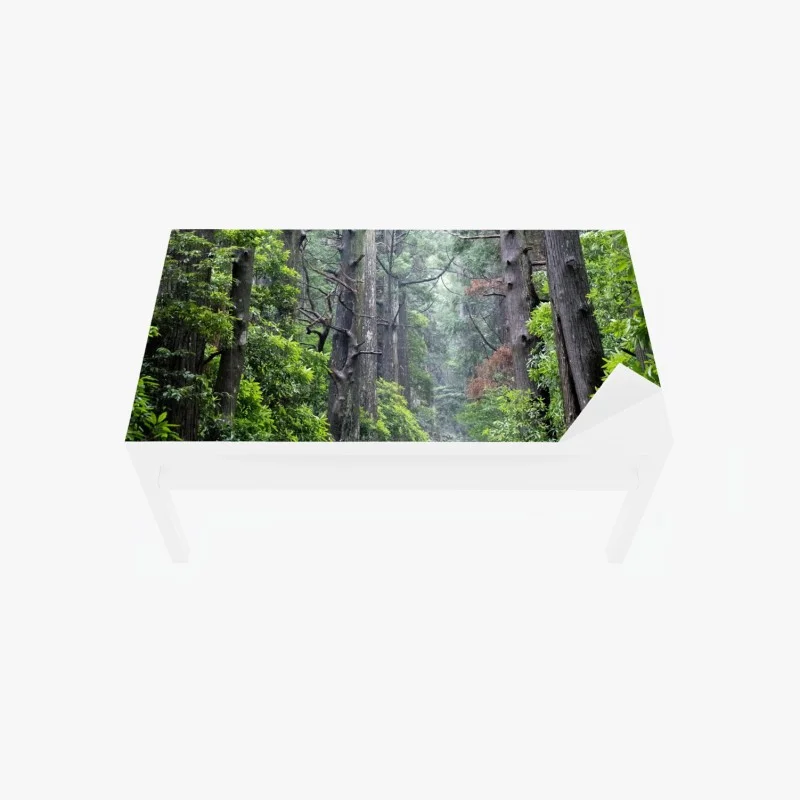 Chapa adhesiva para mesa y escritorio sendero de piedra en bosque milenario