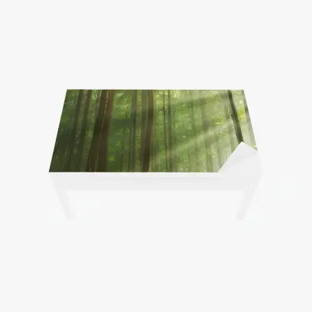 Chapa adhesiva para mesa y escritorio amanecer otoñal en bosque antiguo – Pixers®