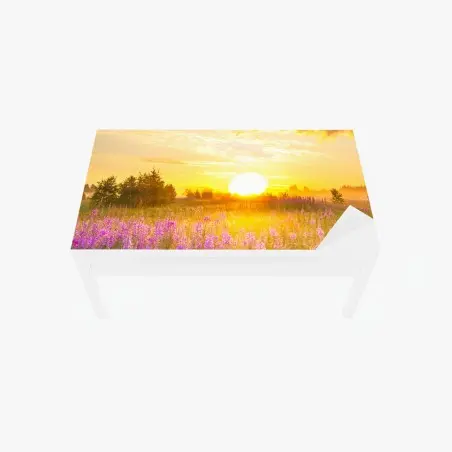 Chapa adhesiva para mesa y escritorio amanecer en pradera florecida – Pixers®