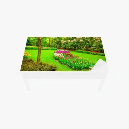 Chapa adhesiva para mesa y escritorio jardín primaveral en flor – Pixers®