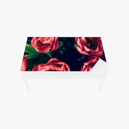Chapa adhesiva para mesa y escritorio tulipanes rojos sobre fondo oscuro – Pixers®
