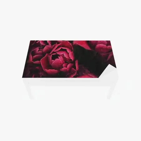 Chapa adhesiva para mesa y escritorio tulipanes rojos con gotas de rocío – Pixers®
