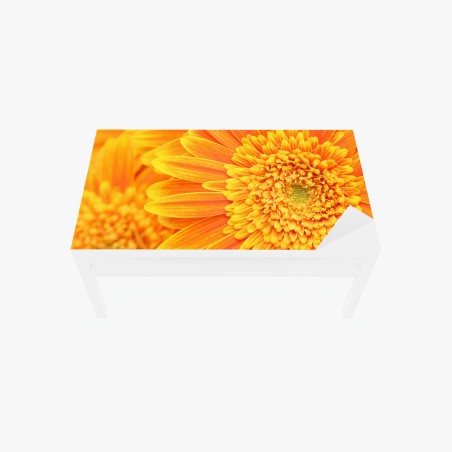 Chapa adhesiva para mesa y escritorio vibrante gerbera naranja en primer plano – Pixers®