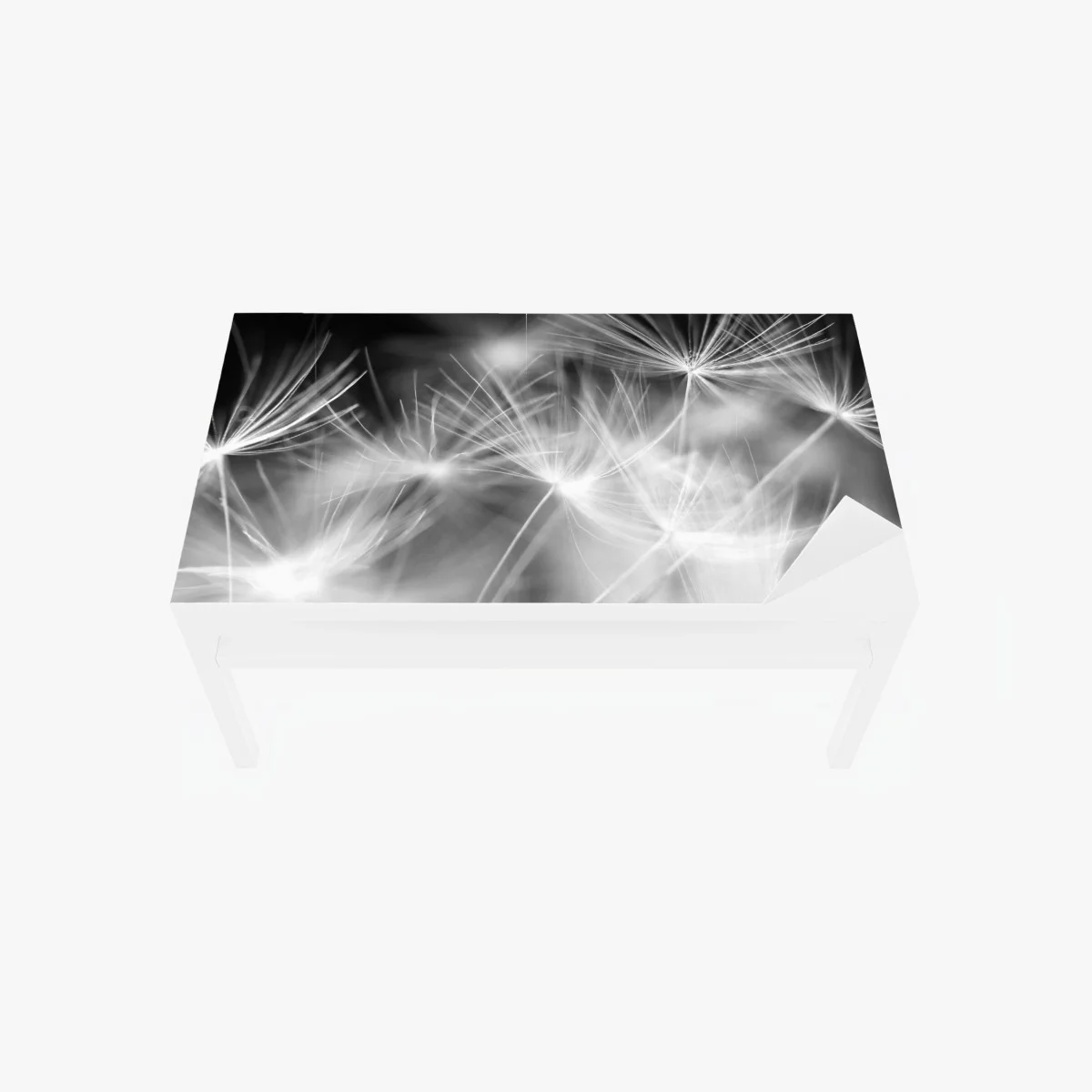 Chapa adhesiva para mesa y escritorio danza de semillas en blanco y negro – Pixers® Chapa adhesiva para mesa y escritorio danza de semillas en blanco y negro – Pixers®