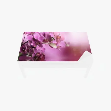 Chapa adhesiva para mesa y escritorio orquídeas rosadas en reflejo acuático – Pixers®