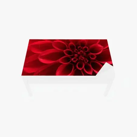 Chapa adhesiva para mesa y escritorio dalia roja en primer plano – Pixers®