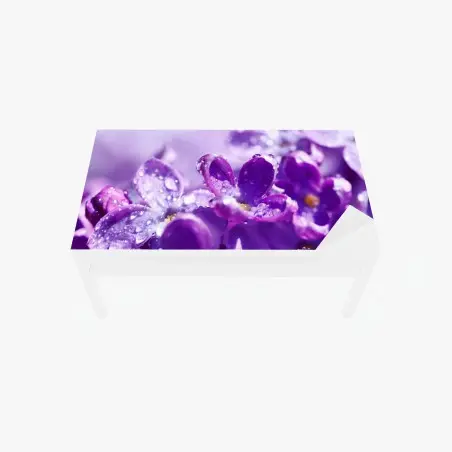 Chapa adhesiva para mesa y escritorio lilas moradas en primer plano con gotas de rocío – Pixers®
