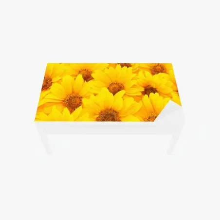 Chapa adhesiva para mesa y escritorio explosión de girasoles luminosos – Pixers®