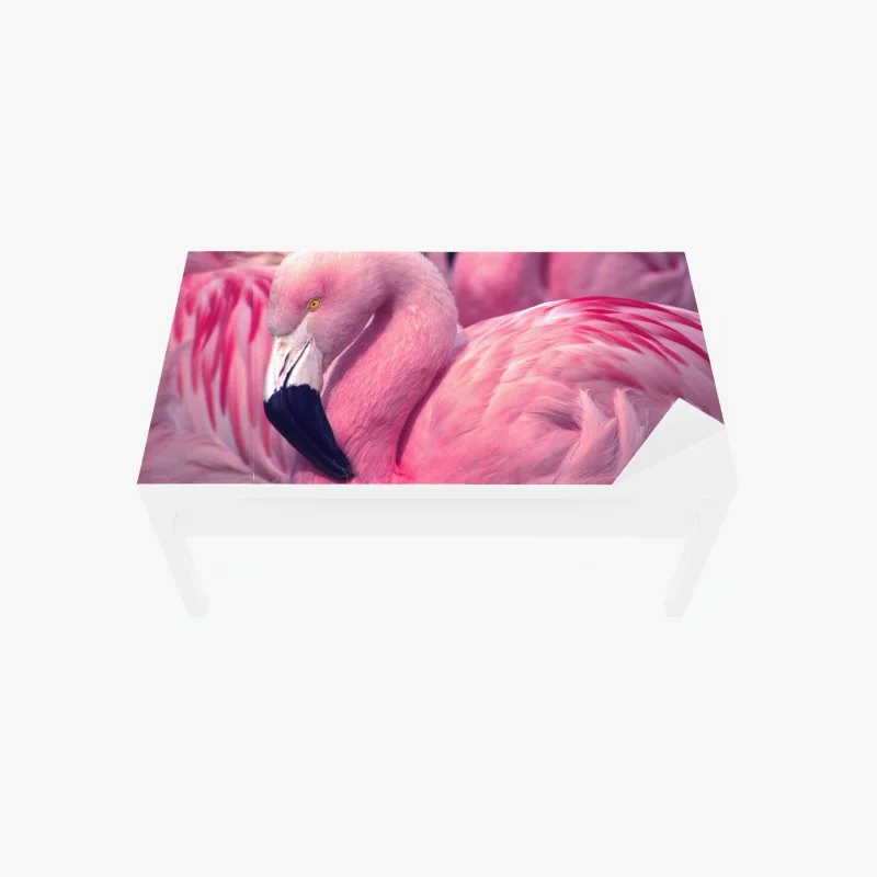 Chapa adhesiva para mesa y escritorio flamenco rosado en primer plano