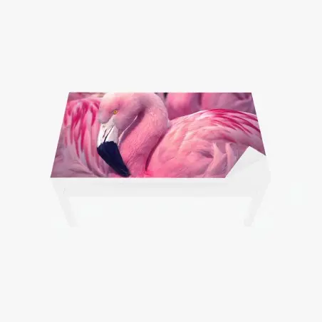 Chapa adhesiva para mesa y escritorio flamenco rosado en primer plano – Pixers®